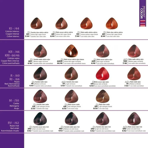 12 Tinturas Primont Color Coloración Profesional 120g