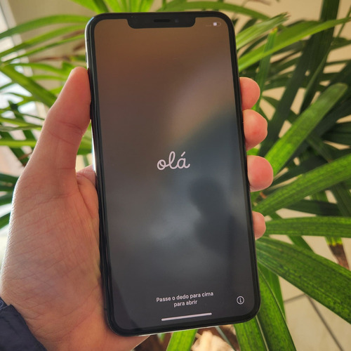 Iphone Xs Max 256gb Ler Toda Descrição Cinza-escuro (Usado)