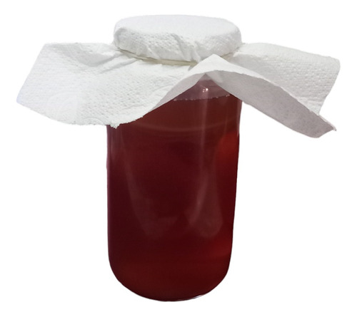 Scoby Con Te De Arranque Para Hacer Kombucha. 1lt. Y Regalo.