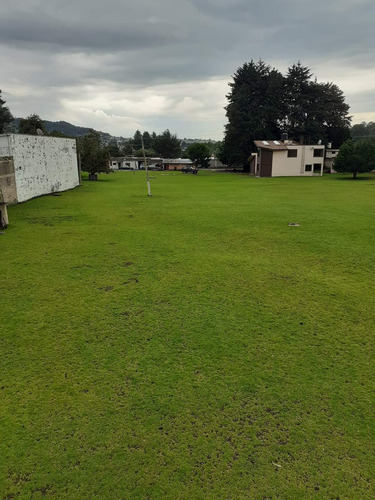 Terreno 10,000 M2 Con Escritura Con Casa, Bodega Y Servicio 