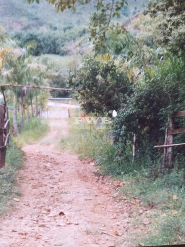 Imagem 5 de 28 de Fazenda Em Rio Preto Minas Gerais - 2044007423 - 67629041