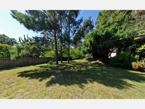 Imagen 3 de 9 de Id 639 - Casa En Rincón Del Indio. Consulte Por Temporada