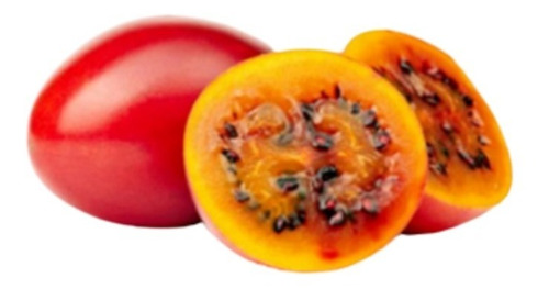 25 Semillas De Tomate De Árbol Tamarillo Fácil Cultivo 