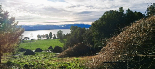 Parcela Con Acceso A Playa Lago Puyehue