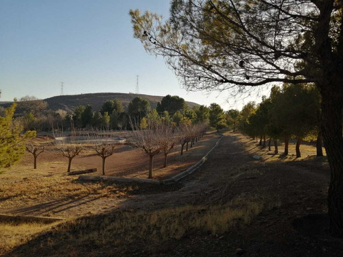 Imagen 11 de 17 de Terrenos En Venta Zona Reliz Chihuahua
