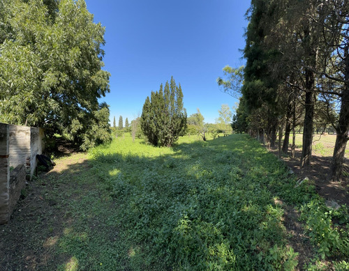 Venta Terreno Y Casa En San Ramon Villa Esquiu, Cordoba