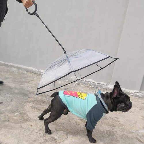 Paraguas Para Perros Billionchains Con Mango Ajustable