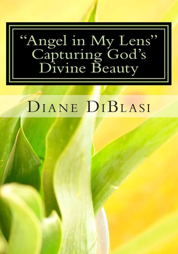 Libro:   Angel In My Lens : Caputring Godøs Divine Beauty