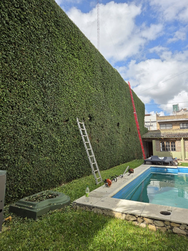 Paisajismo Jardinería Sistemas De Riego Parquizacion Podas