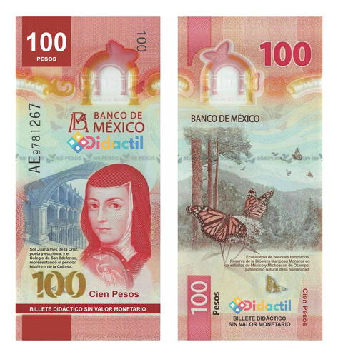 150 Billetes Didácticos D Juguete Grandes C/6 Denominaciones