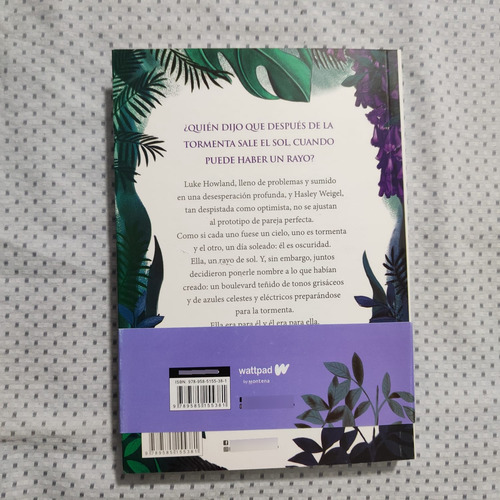 Boulevard De Los Sueños Rotos Flor M Salvador - Libro Grande