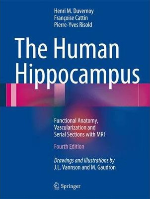 Libro The Human Hippocampus : Functional Anatomy, Vascula...