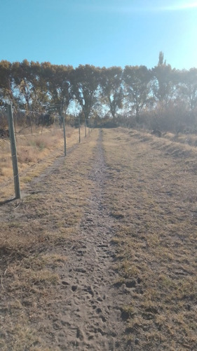 Imagen 3 de 19 de Vendo Finca De 6 Ha Y Fracción, Con Casa De De Gran Dimensión!!