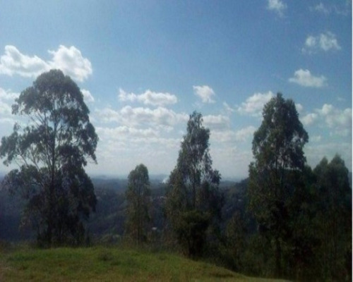 Imagem 14 de 20 de Sítio - St001 - 32142561