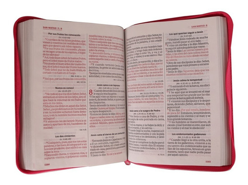 Imagen 3 de 5 de Biblia Letra Gigante Rvr1960 Imitación Piel Rosa Con Cierre
