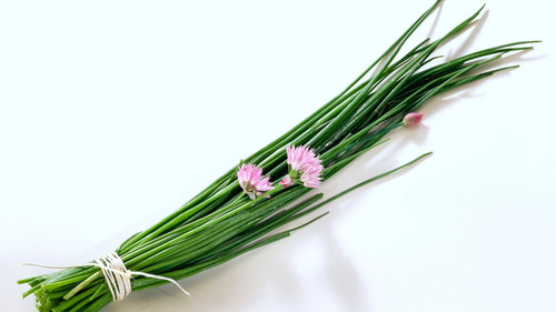 25 Sementes De Cebolinha Francesa - Allium Schoenoprasum