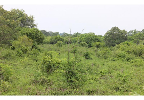 Venta Terreno Tuxpan Ver, Carretera Tuxpan-tamiahua 5 Has