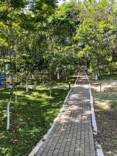 Imagem 15 de 19 de Apartamento Todo Reformado - 4544