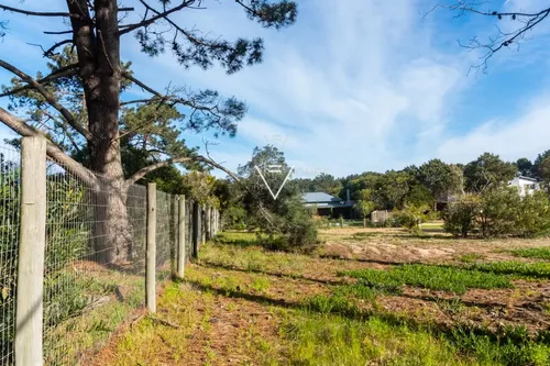 Venta Terreno Pinar Del Faro, 1000 Mts (pfg11)