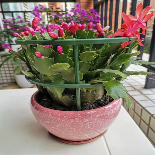 Soporte De Plantas Cubiertas Apoyo De La Planta Planta En Ma