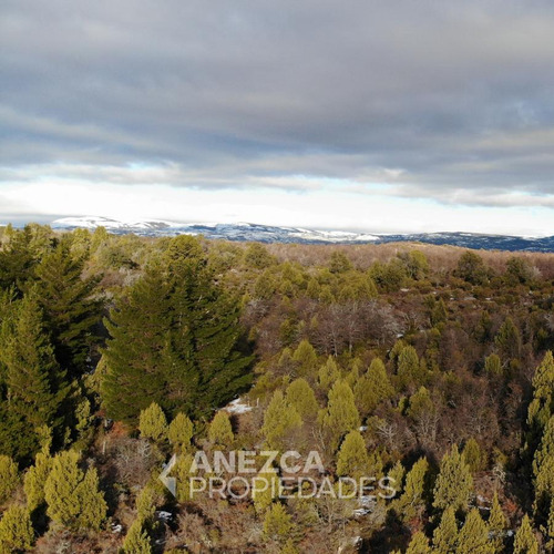 Campo De 8 Hectáreas - Costa Lago Lezama - Cholila