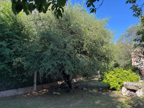 Casa En Merlo Con Gas Natural