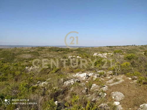 Imagen 19 de 19 de Se Vende Muy Lindo Campo Con Cañada !!