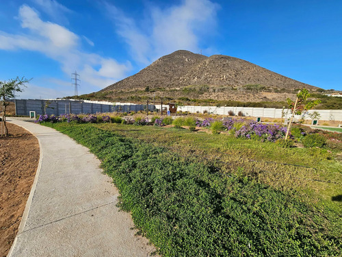 Venta De Sitio En Nueva Umbrales  (88133)
