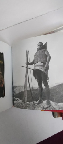 El Libro Del Pene / Joseph Cohen (Usado)