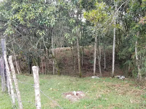 Lote En Venta En Paraje Cabeceras. Cod V12135