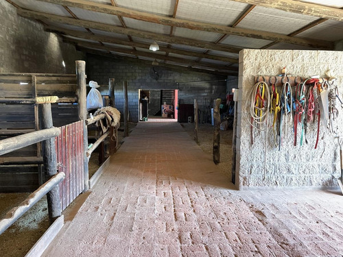 Imagen 18 de 21 de Venta Ideal Inversores (local Gastronimico-caballerizas) - La Reja Sur