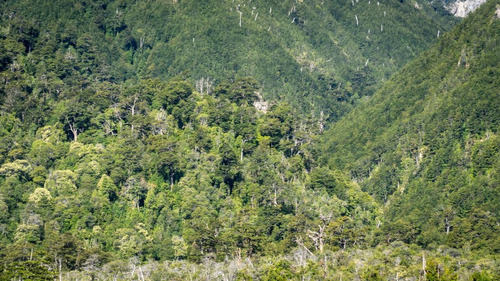Exclusivo Proyecto Con Salida A Río Futaleufú Y Acceso Ruta