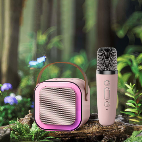 Mini Del Karaoke Con El Micrófono, Micrófono Del Pda, Con