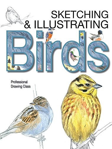 Sketching  Y  Illustrating Birds Professional Drawing Class