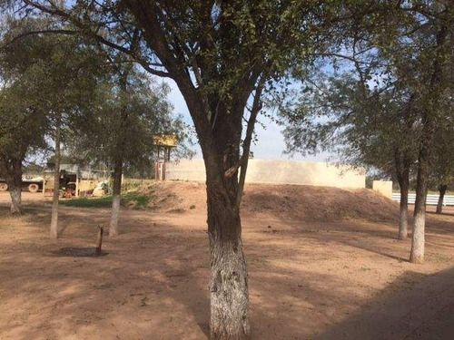 Imagen 6 de 18 de Venta Campo En Santiago Del Estero, Norte De Monte Quemado