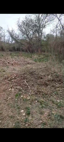 Terreno - Lote - Hectárea