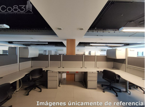 Renta - Oficina Amueblada- Insurgentes - 303 M2 - Piso 8