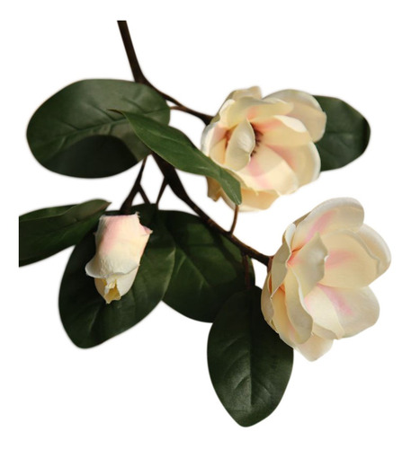 Bouqu Floral De Boda G Con Diseño De Magnolia Con Diseño De