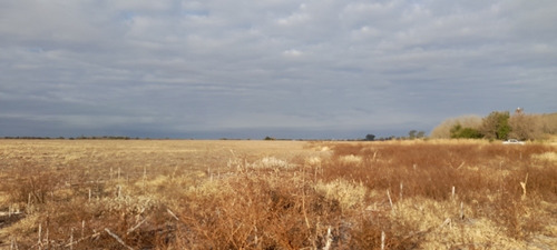 Imagen 10 de 17 de Campo 250 Hs 175 Laborables A 39 Km De Jesús María