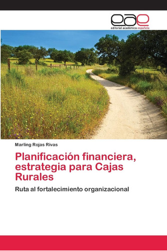 Libro: Planificación Financiera, Estrategia Para Cajas Rural