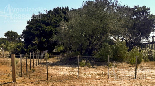 Imagen 12 de 14 de Terreno - La Pedrera