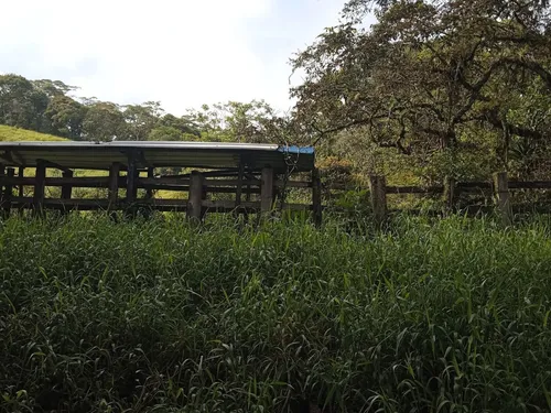 Finca En Guacamayas, Santander, Al Día En Documentos.