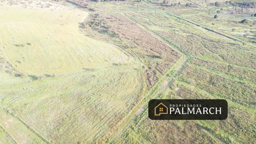 Parcelas En Venta En Ninhue Región De Ñuble