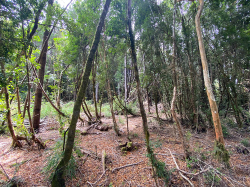 Venta De Parcela En Sendero Tres Puentes (70073)