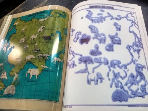 Mapas De Asia. Wall Y Riddle. (1971/27 Pág ). (Usado)