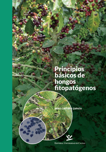 Principios Básicos De Hongos Fitopatógenos, De Jairo Castaño Zapata. Editorial U. De Caldas, Tapa Blanda, Edición 2015 En Español