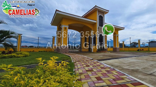 Lotes 8x16 Mts En Residenciales Camelias Fase 4