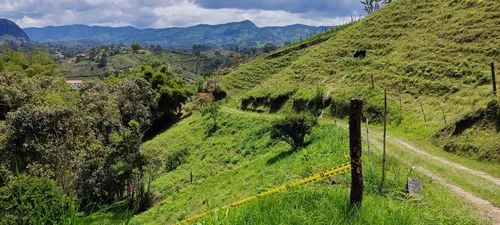4 Lotes En Venta En El Peñol