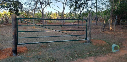 Imagem 3 de 7 de Terreno À Venda, 1340 M² Por R$ 139.000,00 - Zona Rual - Delfinópolis/mg - Te1515