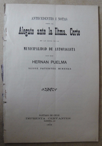 Antofagasta Alegato Municipalidad Hernan Puelma Patentes 